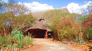 mombasa bush village tour