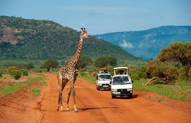 Kenya safari Adventure